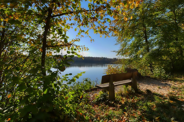 隊取勝的重 隊取勝的重