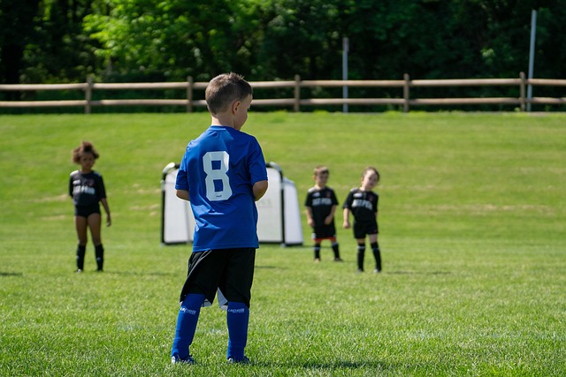 主观差异 主观差异