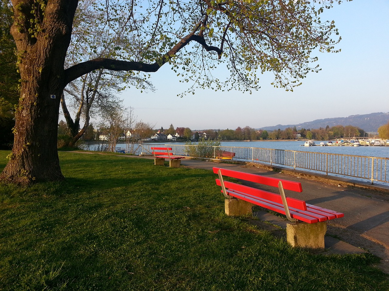 通过强有力 通过强有力